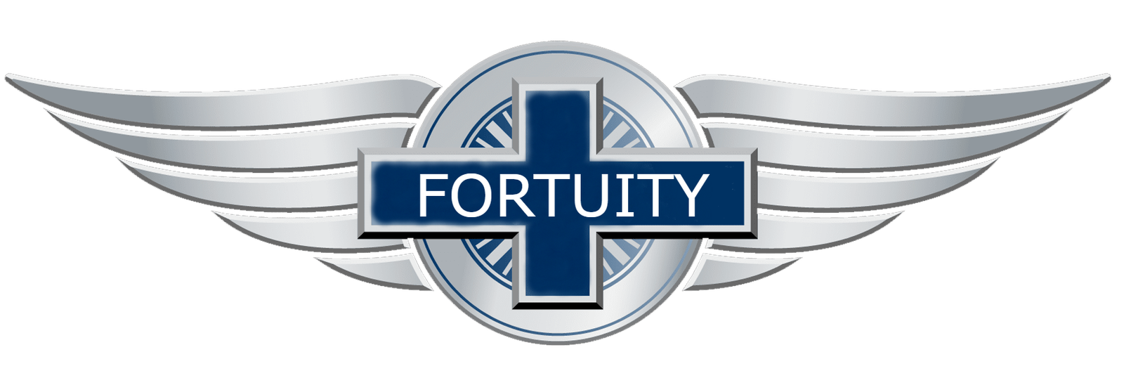 Fortuity Enterprise