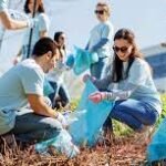 Parkway Cleanup